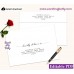 Modern Calligraphy Envelope addressing,Envelope Address Labels,(47)